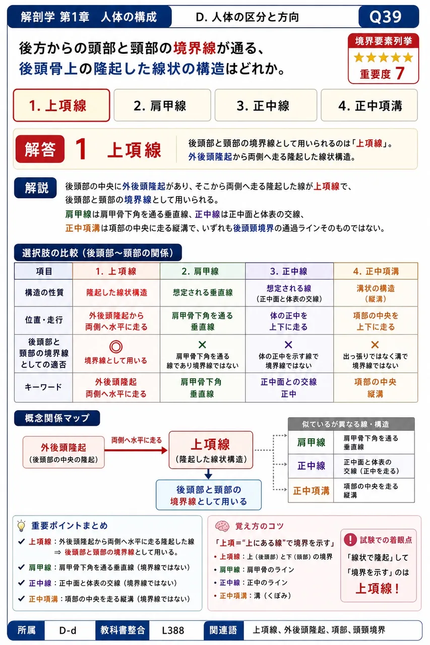 後方からの頭部と頸部の境界線が通る、後頭骨上の隆起した線状の構造はどれか。 解説図
