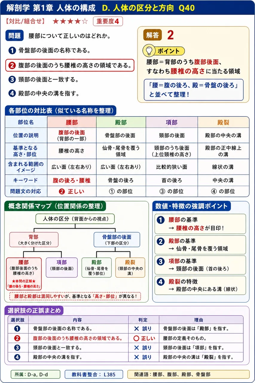 腰部について正しいのはどれか。 解説図