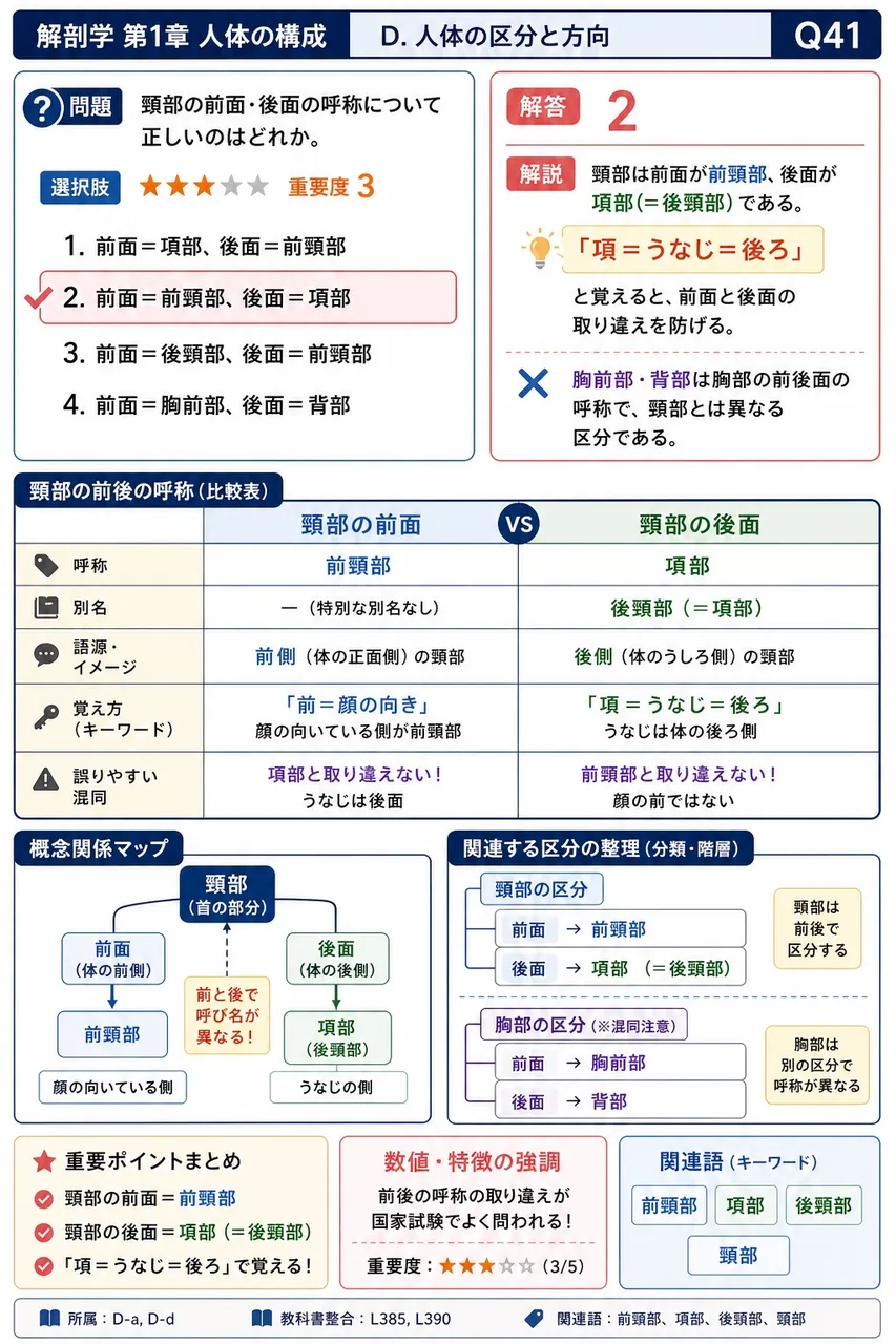 頸部の前面・後面の呼称について正しいのはどれか。 解説図