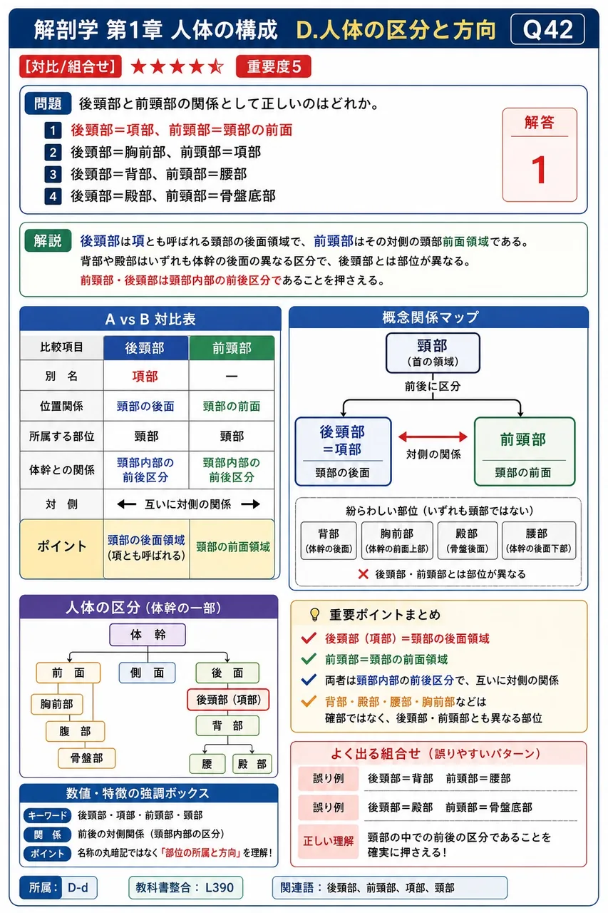 後頸部と前頸部の関係として正しいのはどれか。 解説図