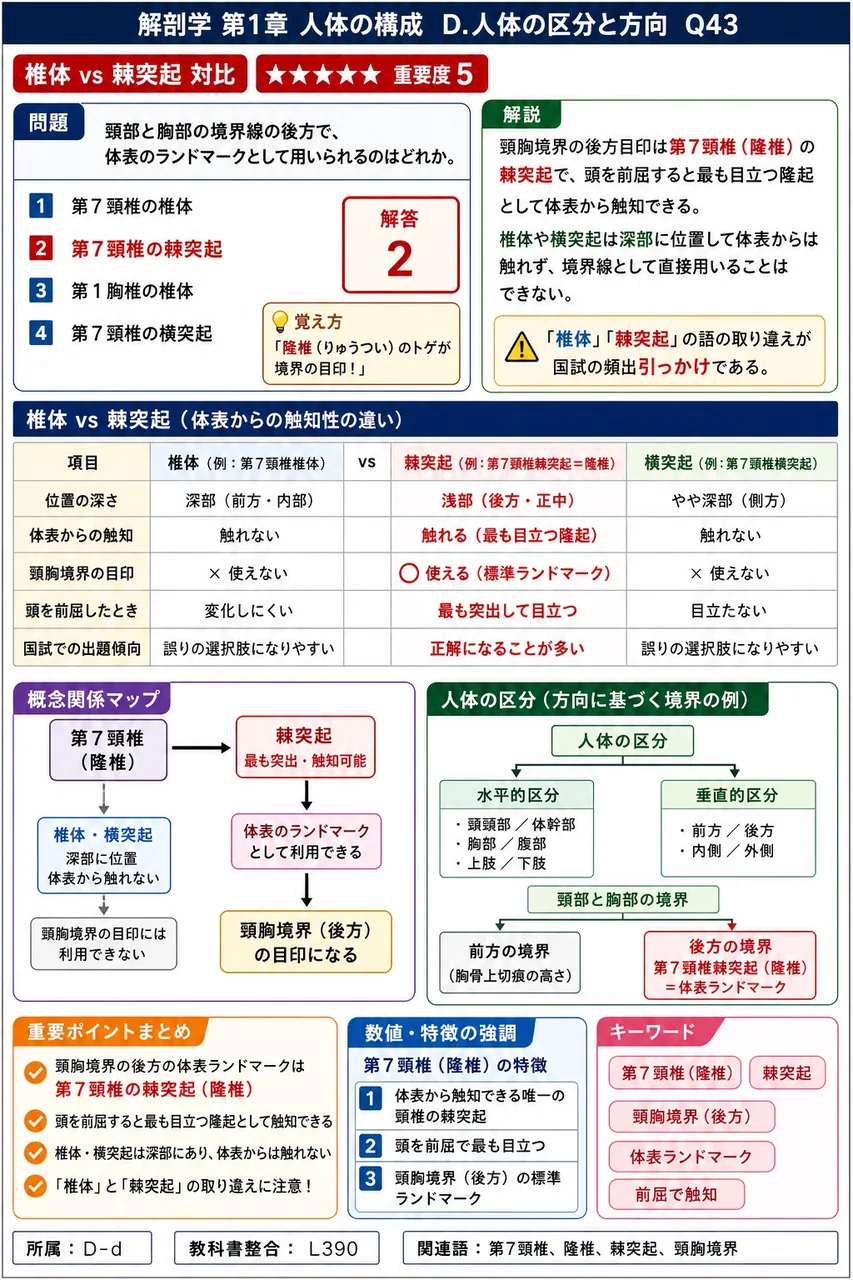 頸部と胸部の境界線の後方で、体表のランドマークとして用いられるのはどれか。 解説図