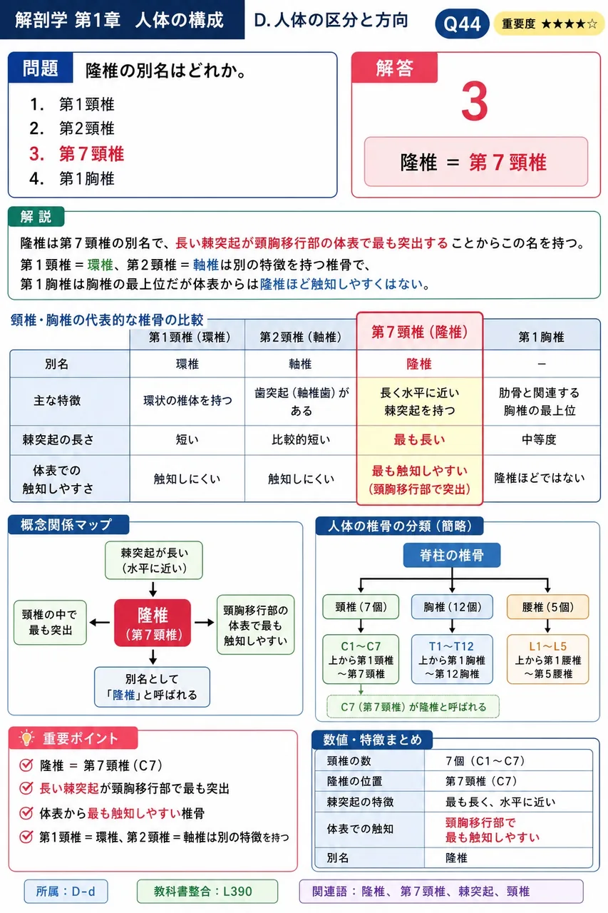 隆椎の別名はどれか。 解説図