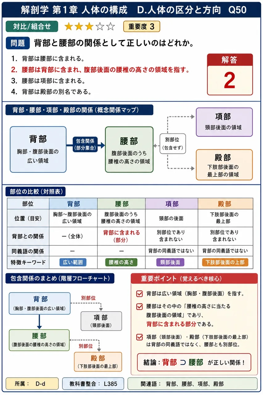 背部と腰部の関係として正しいのはどれか。 解説図