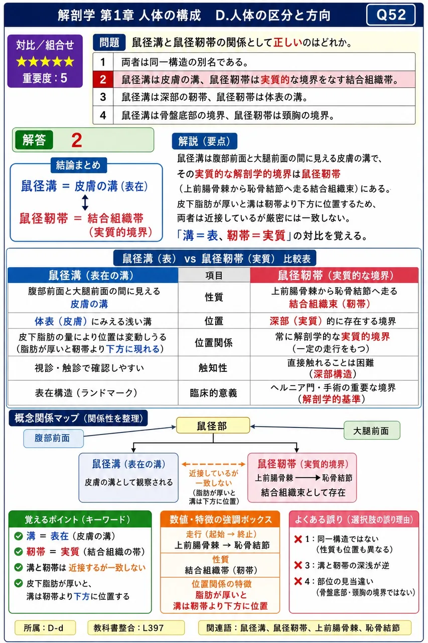 鼠径溝と鼠径靭帯の関係として正しいのはどれか。 解説図