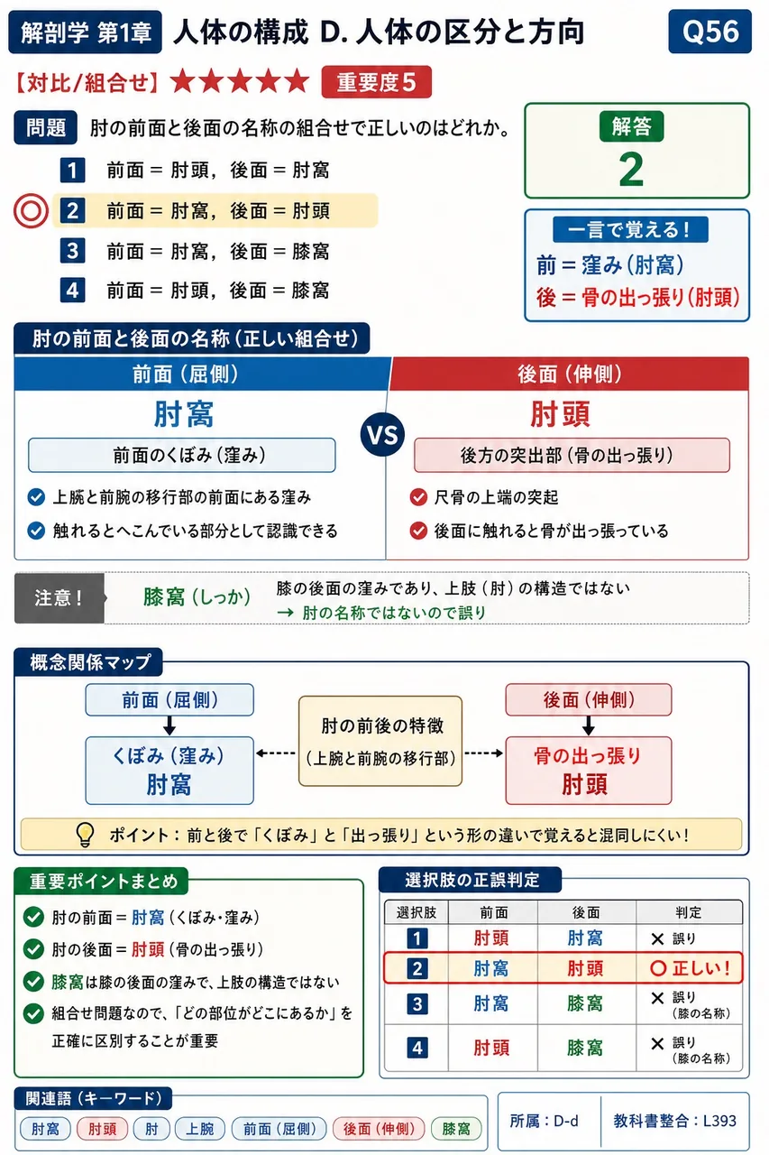 肘の前面と後面の名称の組合せで正しいのはどれか。 解説図