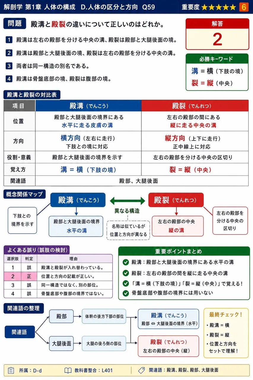 殿溝と殿裂の違いについて正しいのはどれか。 解説図