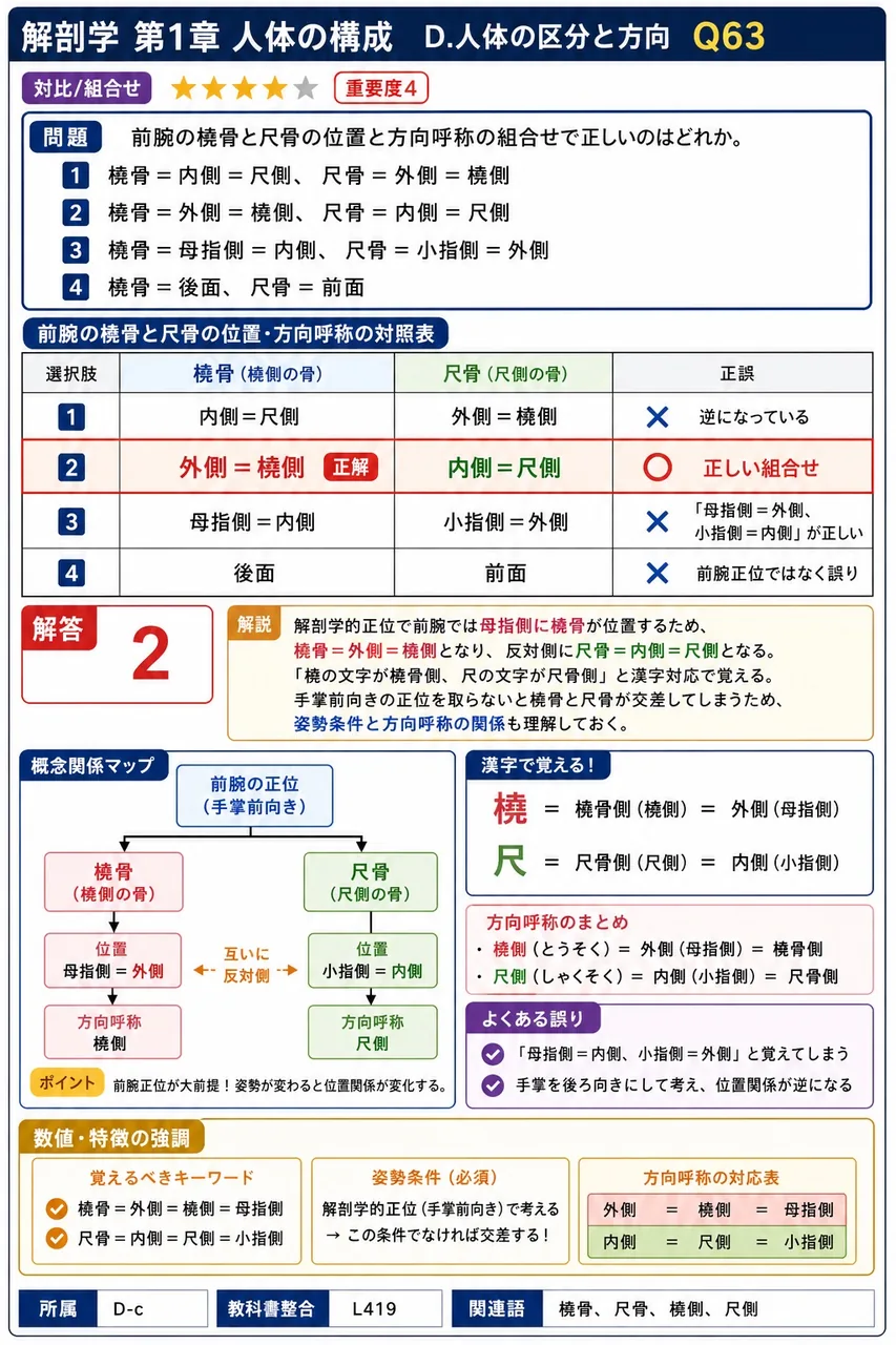 前腕の橈骨と尺骨の位置と方向呼称の組合せで正しいのはどれか。 解説図