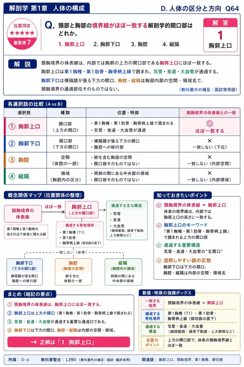 頸部と胸部の境界線がほぼ一致する解剖学的開口部はどれか。 解説図