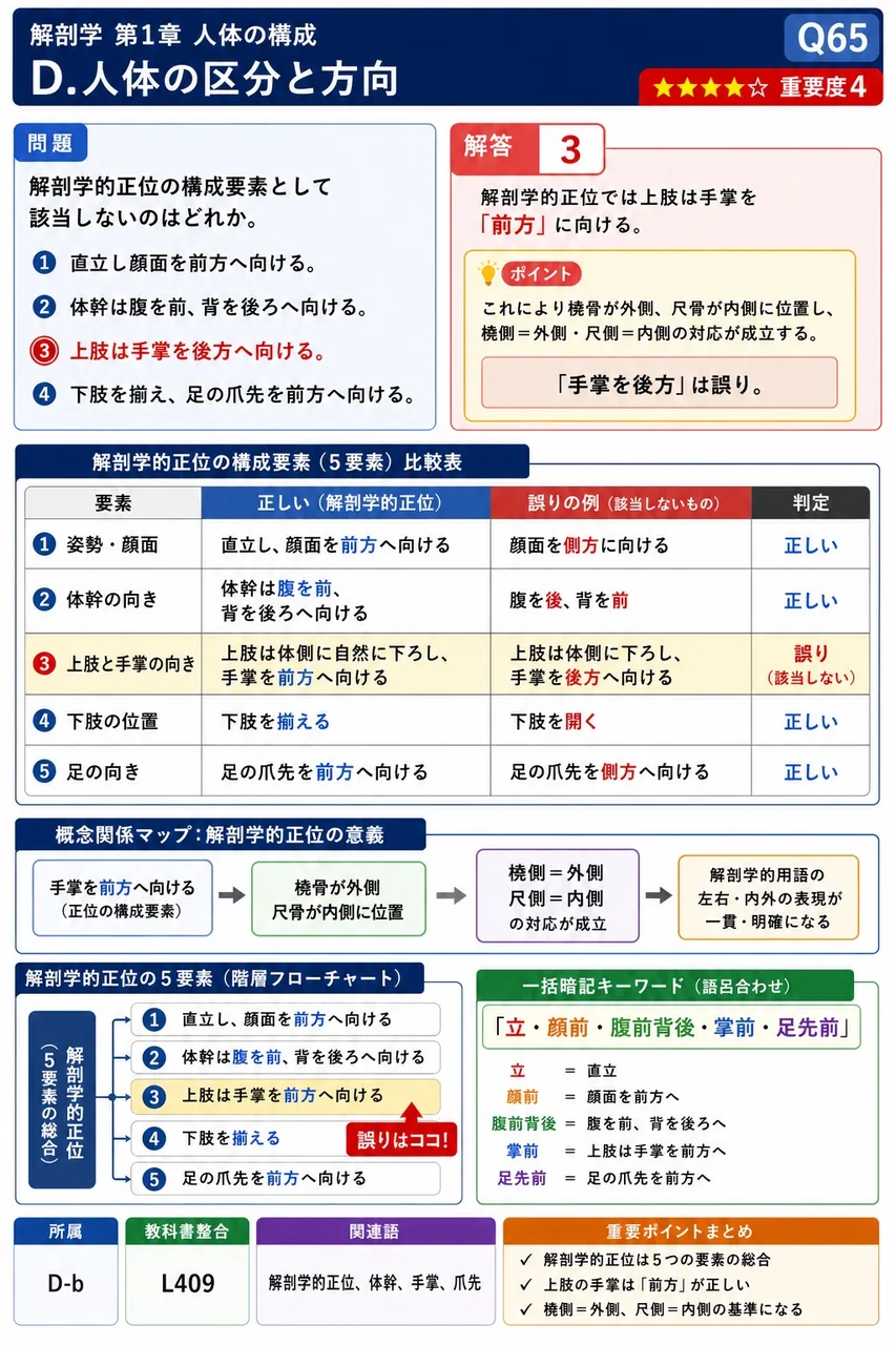 解剖学的正位の構成要素として該当しないのはどれか。 解説図