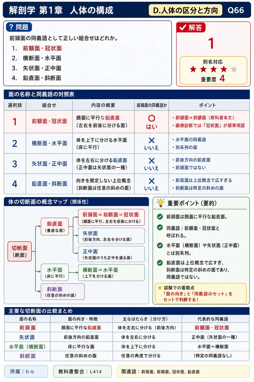 前頭面の同義語として正しい組合せはどれか。 解説図
