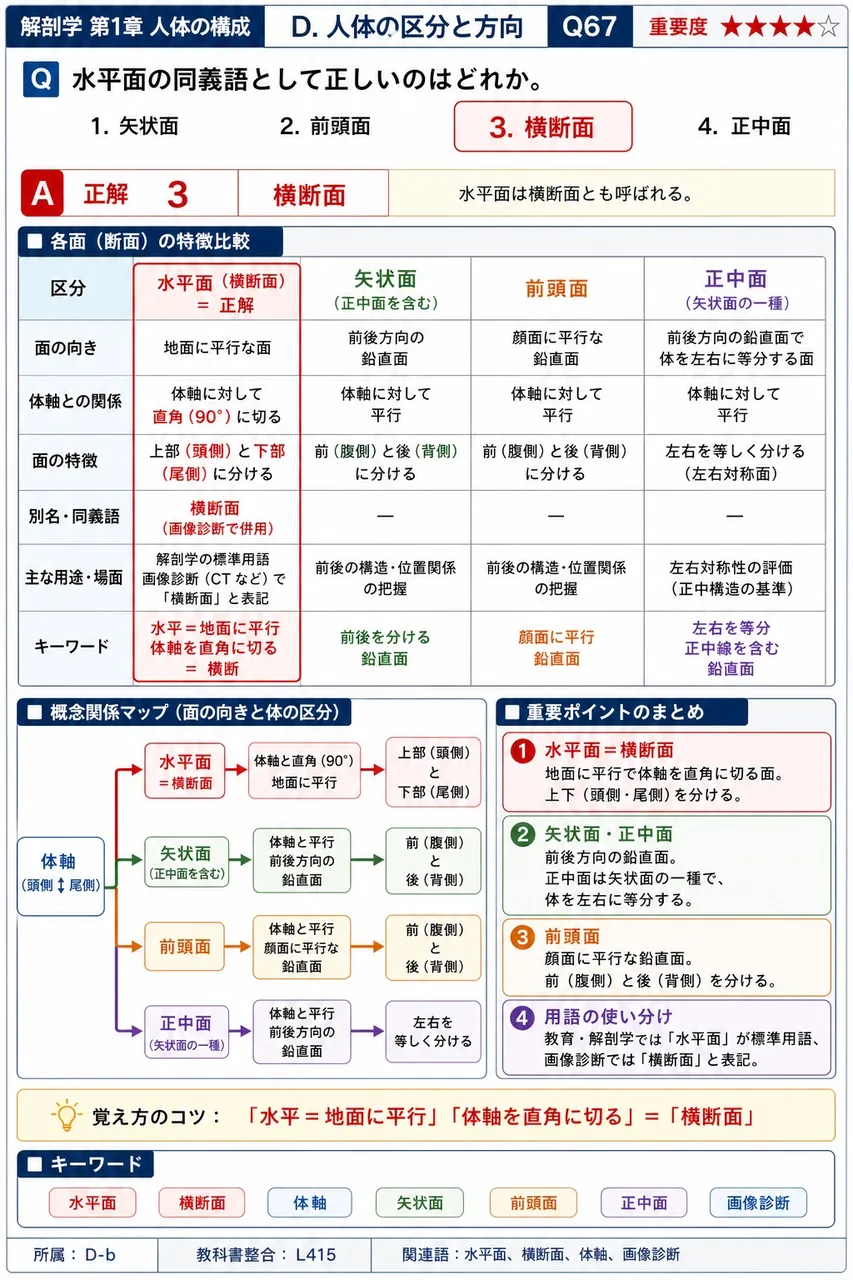 水平面の同義語として正しいのはどれか。 解説図