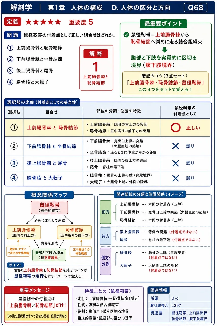 鼠径靭帯の付着点として正しい組合せはどれか。 解説図