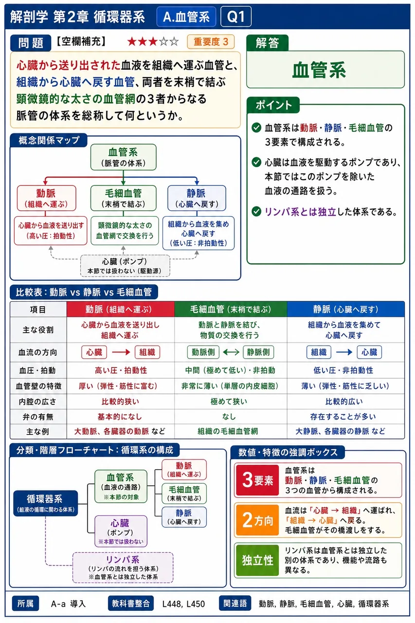 心臓から送り出された血液を組織へ運ぶ血管と、組織から心臓へ戻す血管、両者を末梢で結ぶ顕微鏡的な太さの血管網の3者からなる脈管の体系を総称して何というか。 解説図