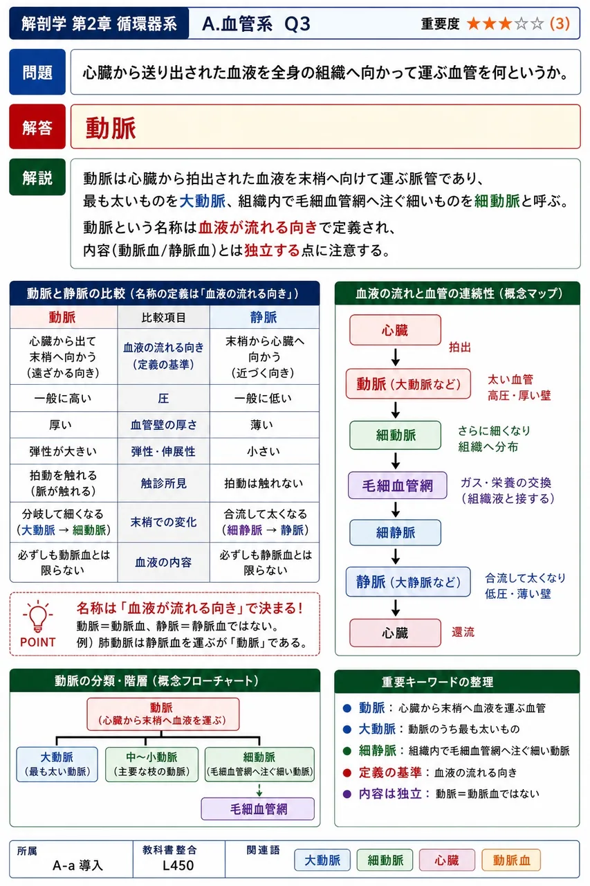 心臓から送り出された血液を全身の組織へ向かって運ぶ血管を何というか。 解説図