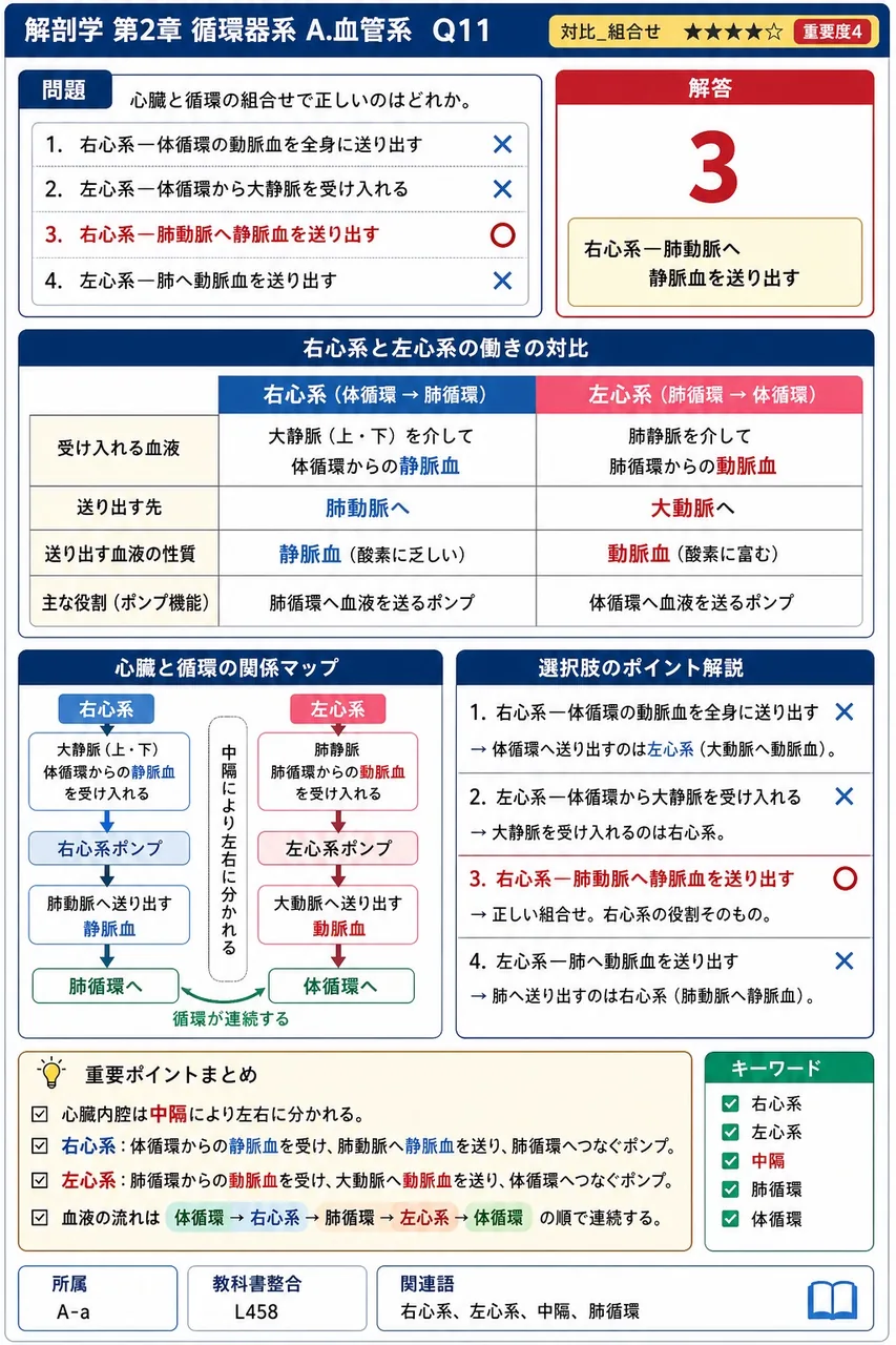 心臓と循環の組合せで正しいのはどれか。 解説図
