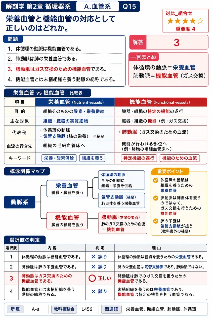 栄養血管と機能血管の対応として正しいのはどれか。 解説図