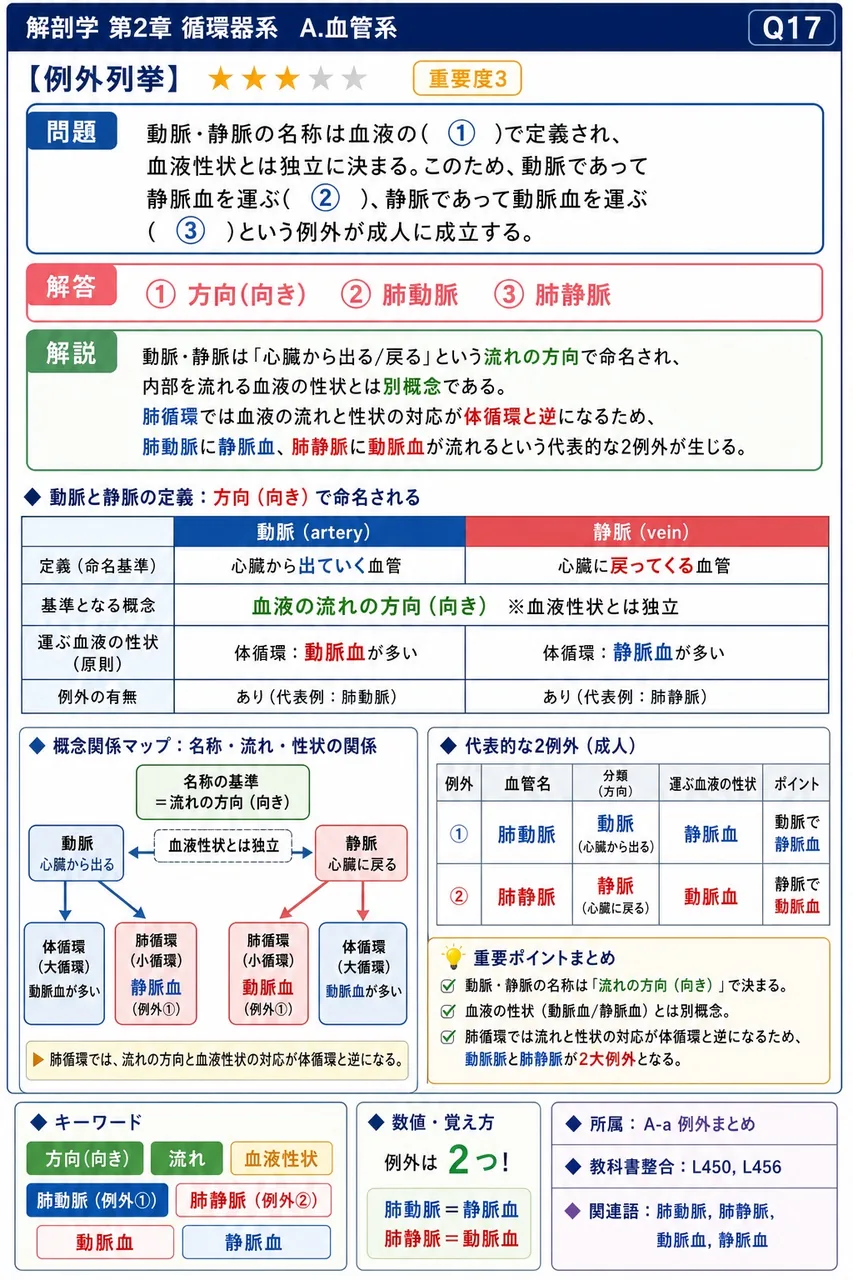動脈・静脈の名称は血液の( ① )で定義され、血液性状とは独立に決まる。このため、動脈であって静脈血を運ぶ( ② )、静脈であって動脈血を運ぶ( ③ )という例外が成人に成立する。 解説図