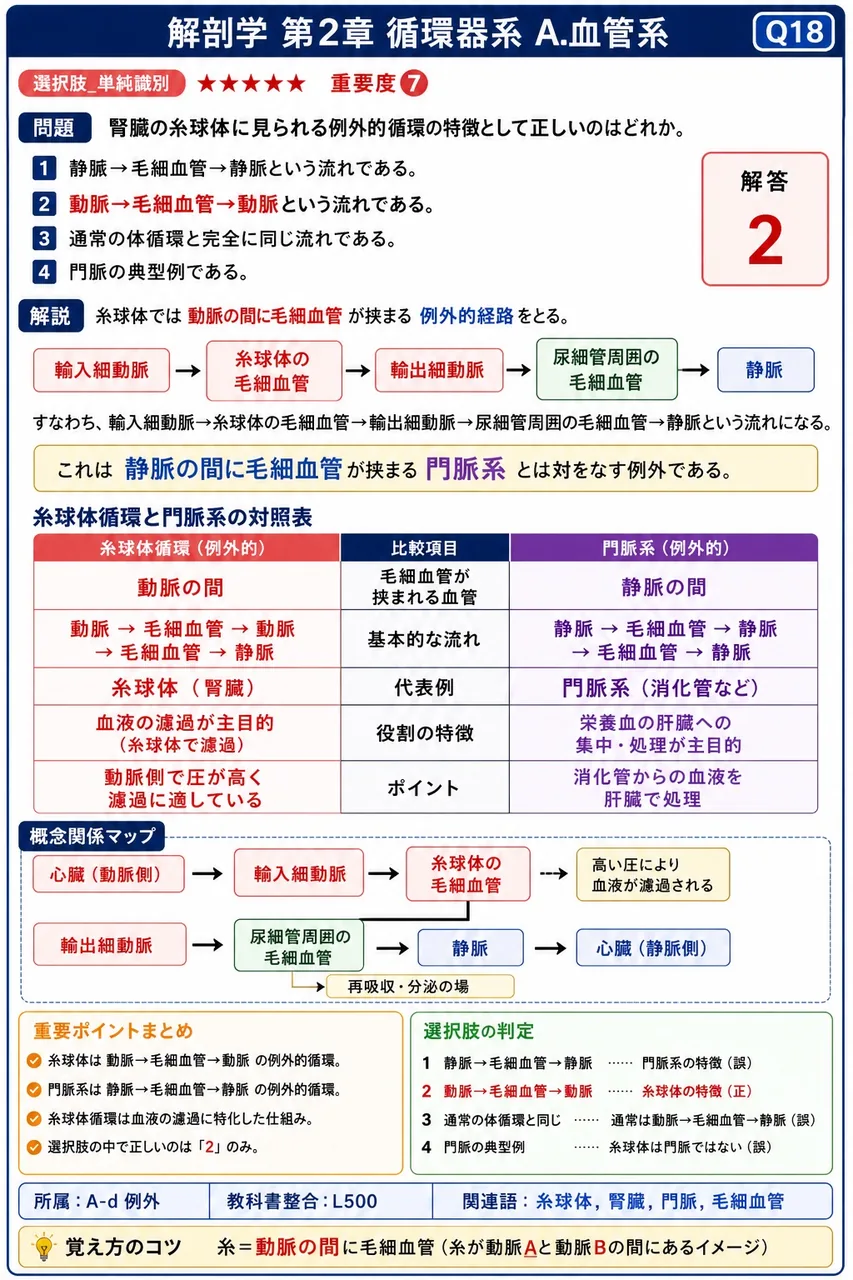 腎臓の糸球体に見られる例外的循環の特徴として正しいのはどれか。 解説図