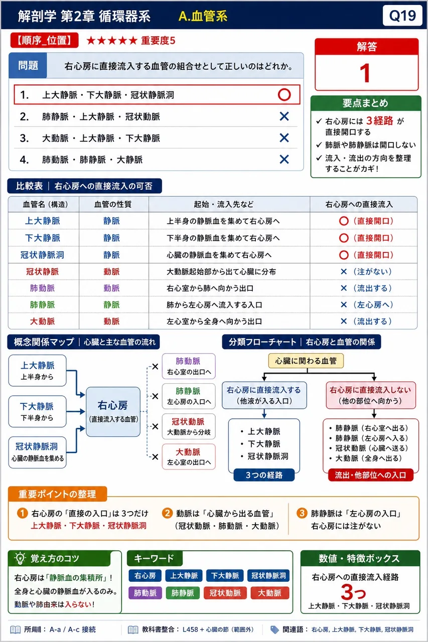右心房に直接流入する血管の組合せとして正しいのはどれか。 解説図