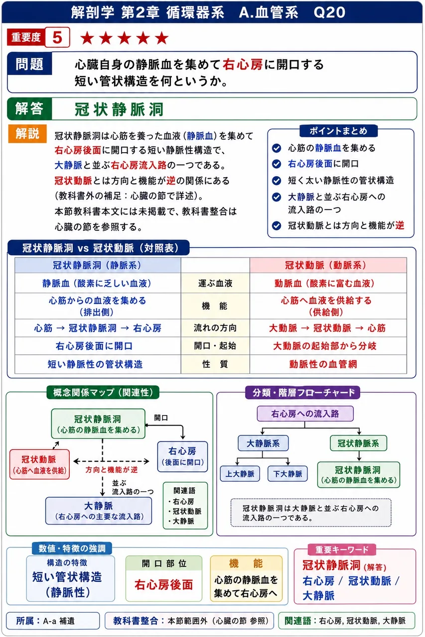 心臓自身の静脈血を集めて右心房に開口する短い管状構造を何というか。 解説図