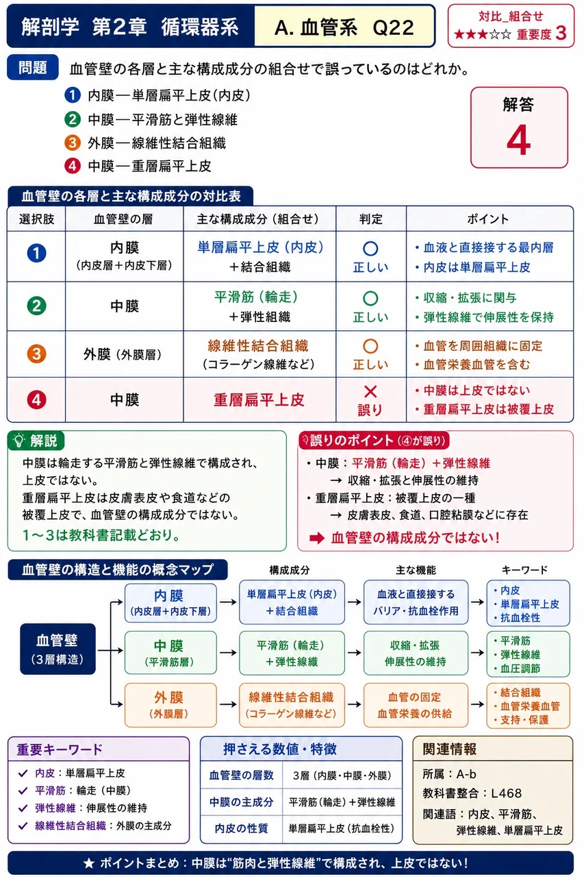 血管壁の各層と主な構成成分の組合せで誤っているのはどれか。 解説図