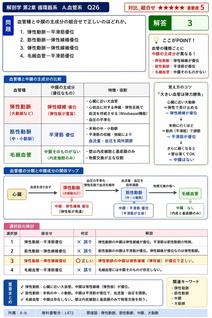 血管種と中膜の主成分の組合せで正しいのはどれか。 解説図