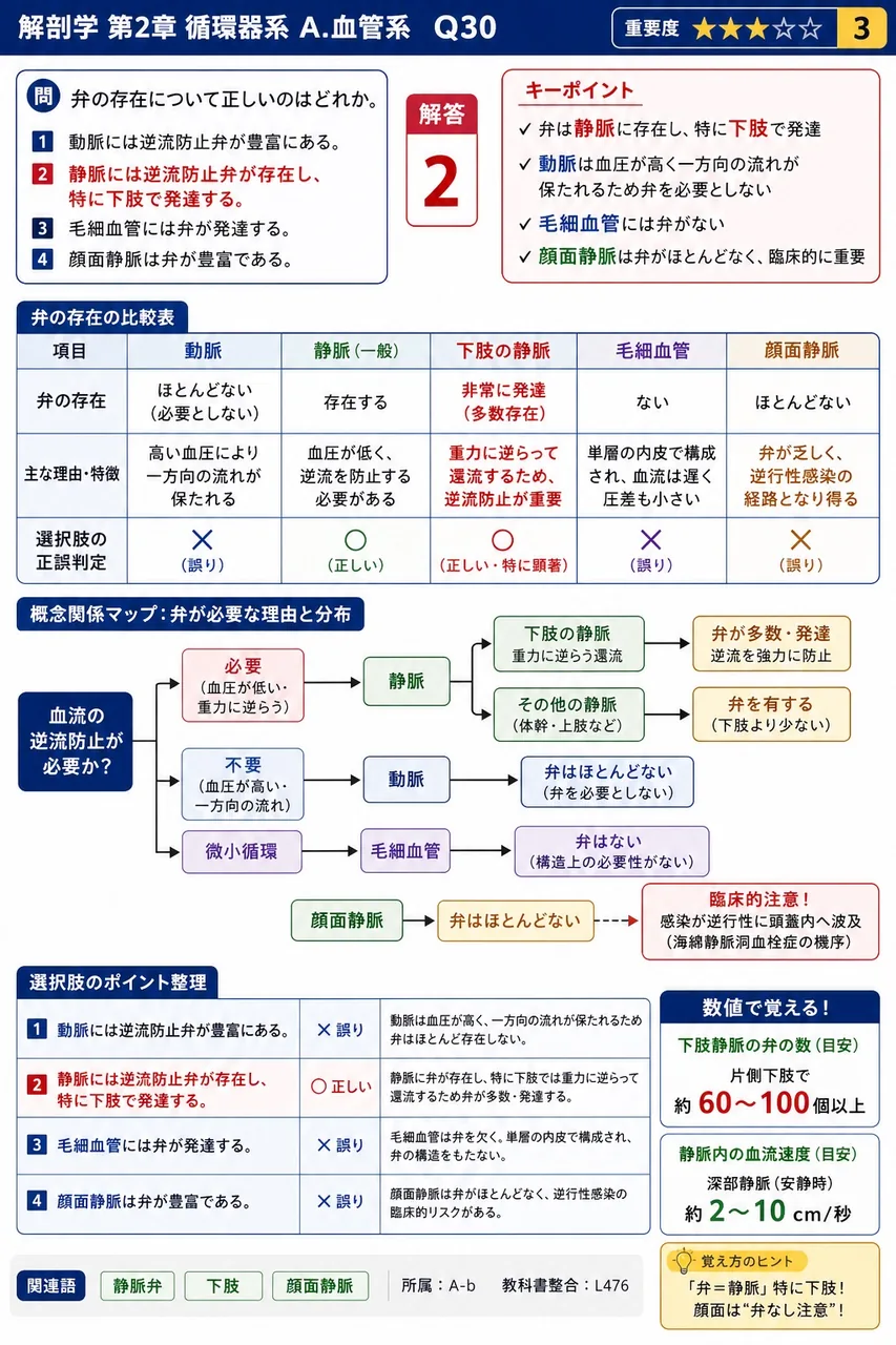 弁の存在について正しいのはどれか。 解説図