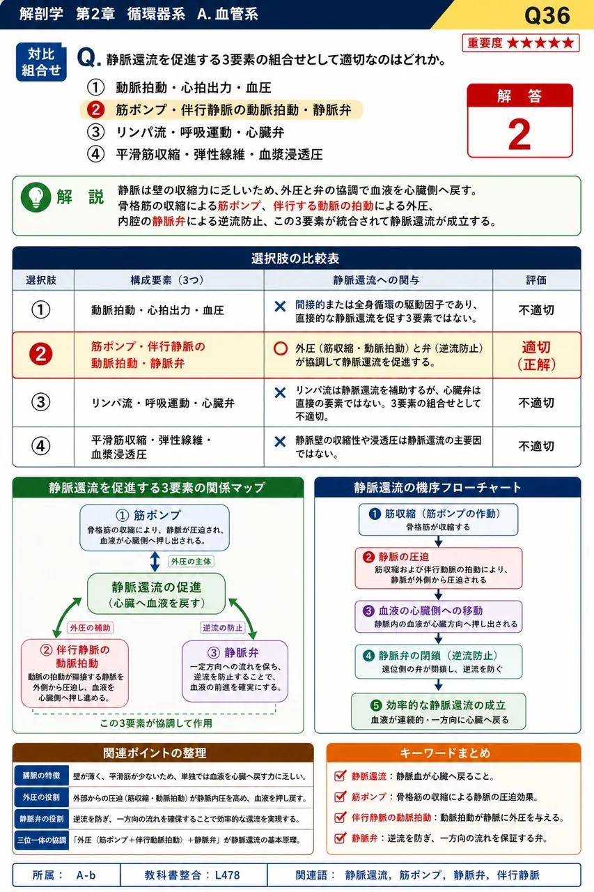 静脈還流を促進する3要素の組合せとして適切なのはどれか。 解説図