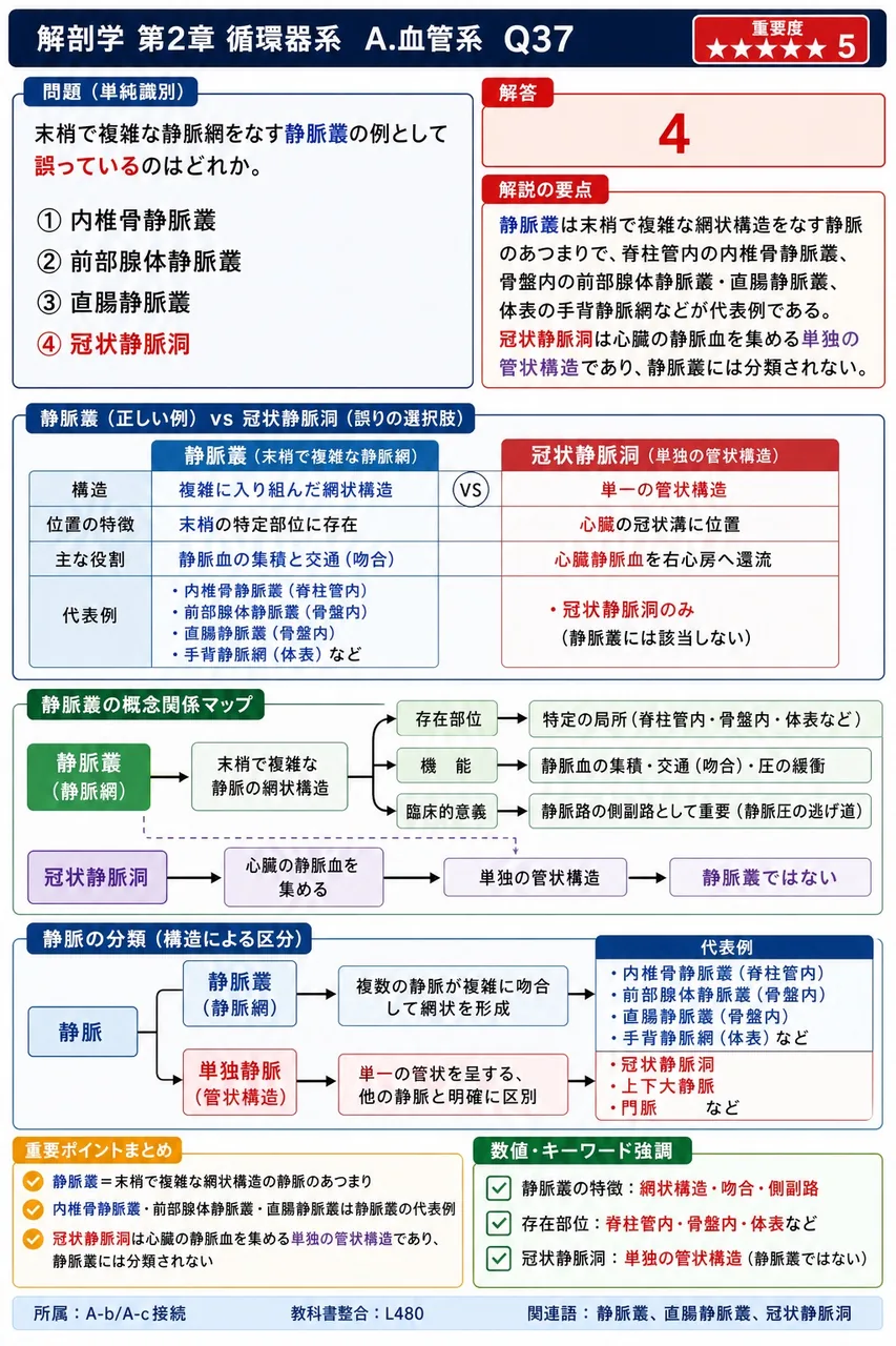 末梢で複雑な静脈網をなす静脈叢の例として誤っているのはどれか。 解説図