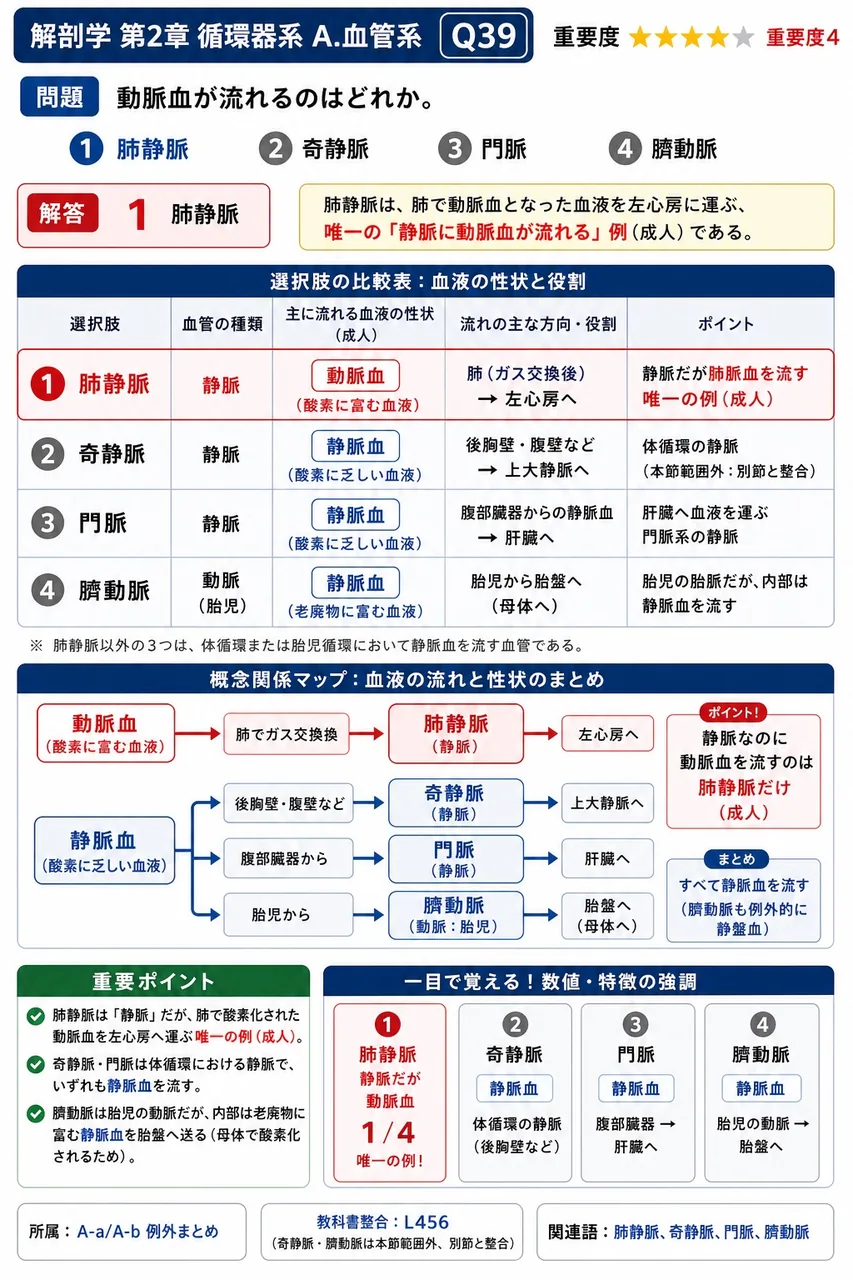 動脈血が流れるのはどれか。 解説図