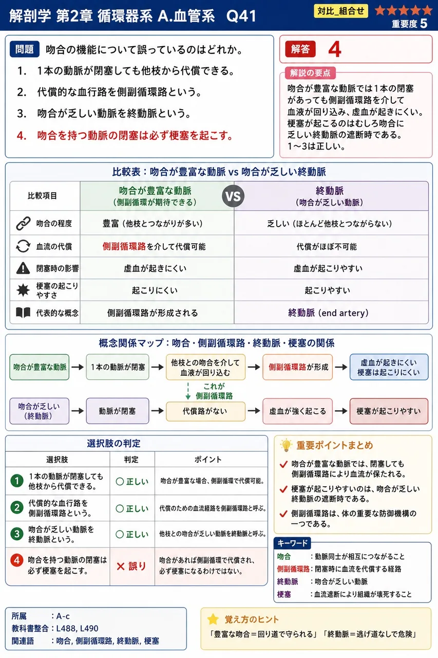 吻合の機能について誤っているのはどれか。 解説図