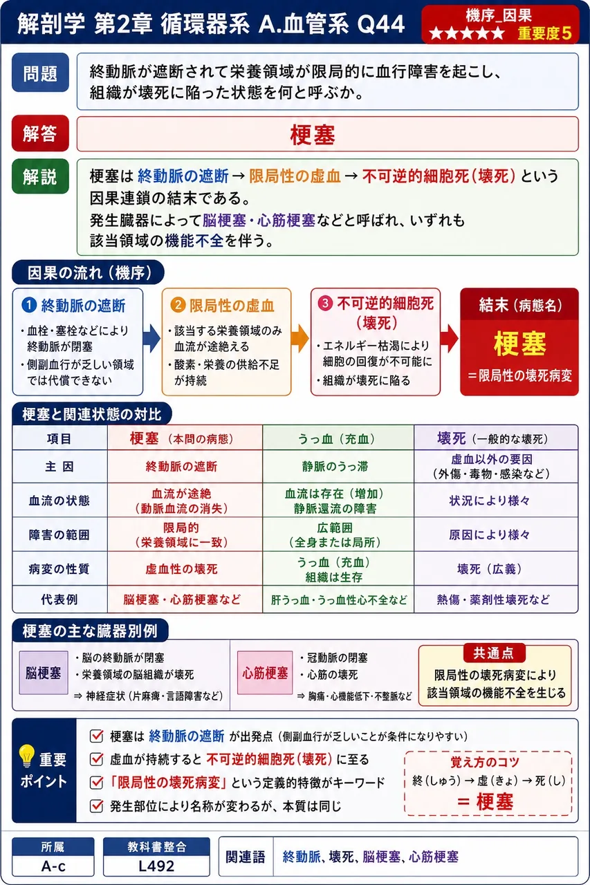 終動脈が遮断されて栄養領域が限局的に血行障害を起こし、組織が壊死に陥った状態を何と呼ぶか。 解説図