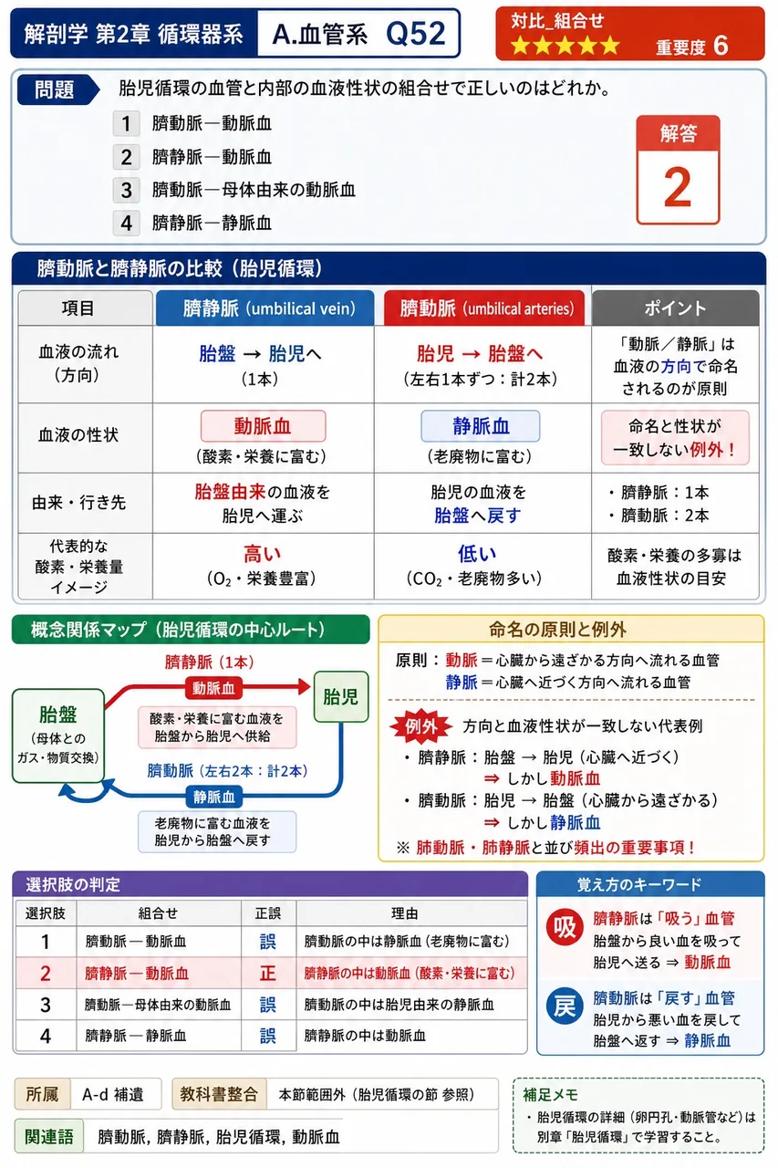 胎児循環の血管と内部の血液性状の組合せで正しいのはどれか。 解説図