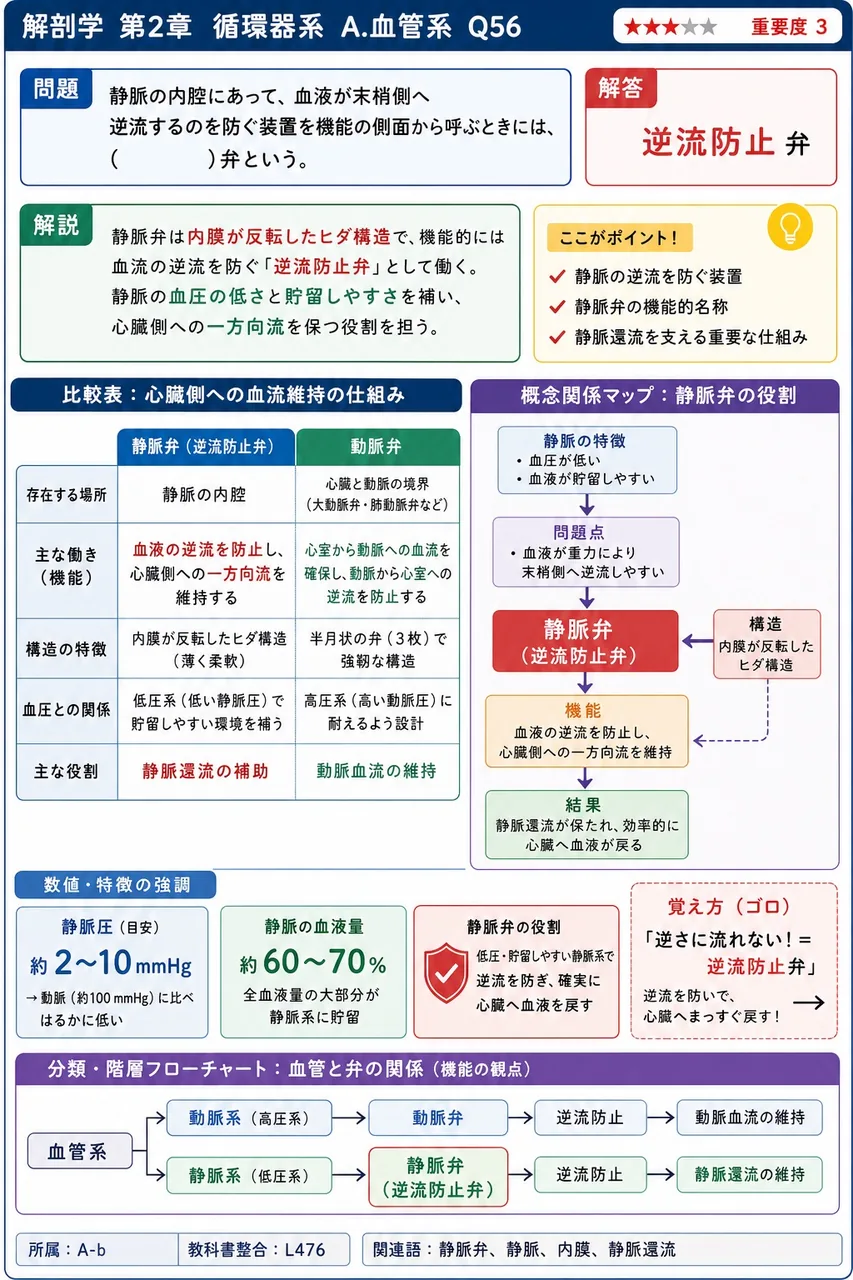 静脈の内腔にあって、血液が末梢側へ逆流するのを防ぐ装置を機能の側面から呼ぶときには、( )弁という。 解説図
