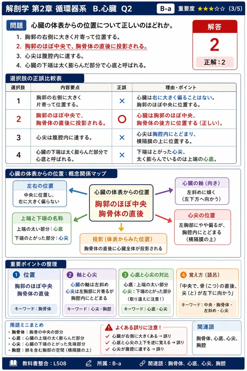 心臓の体表からの位置について正しいのはどれか。 解説図
