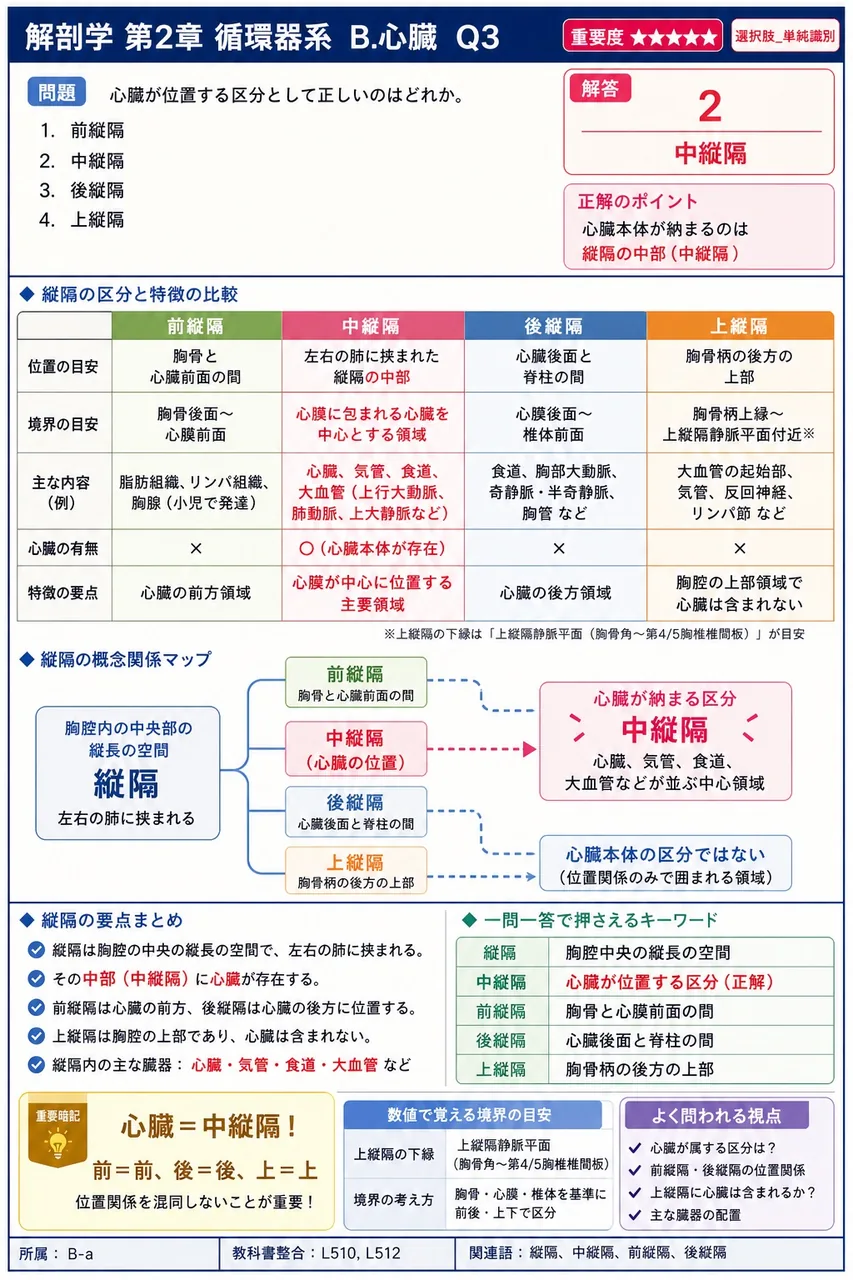 心臓が位置する区分として正しいのはどれか。 解説図