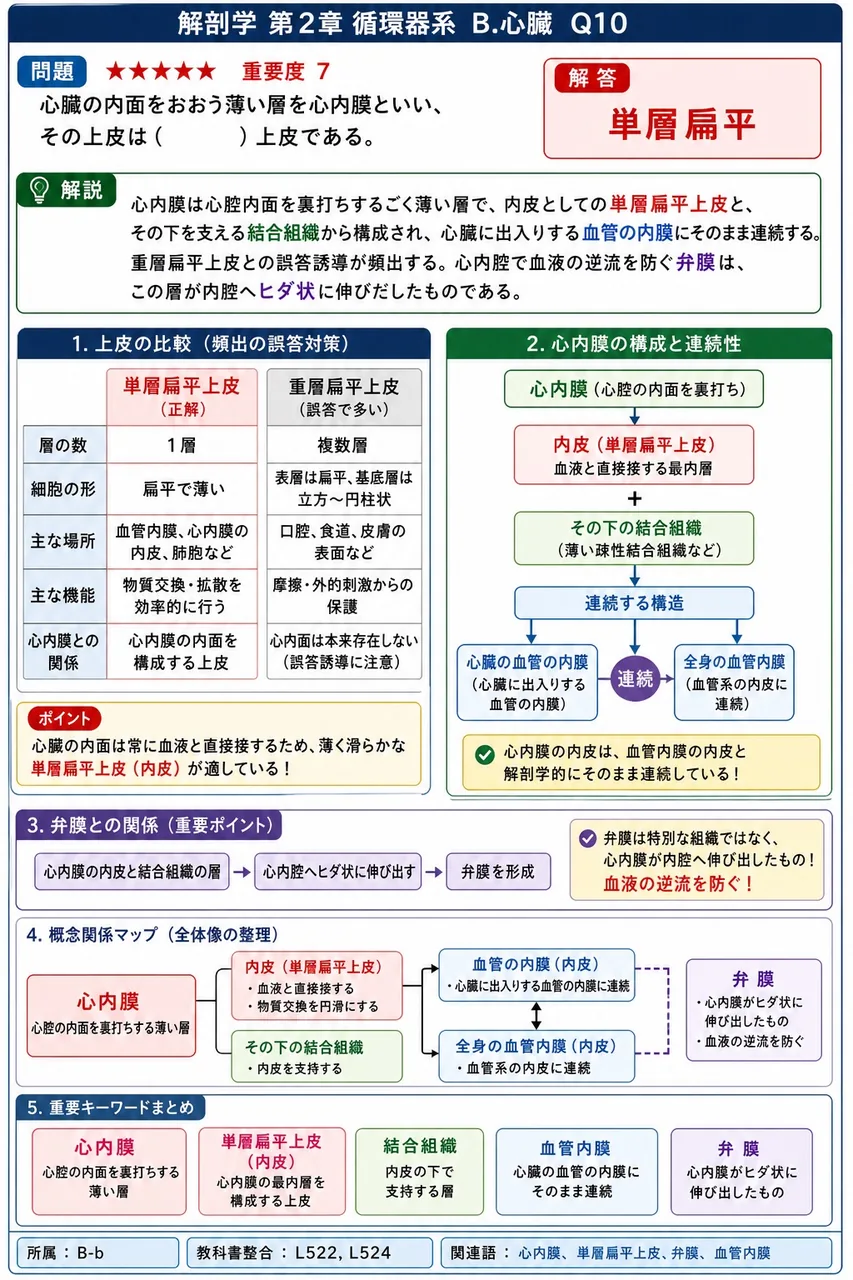 心臓の内面をおおう薄い層を心内膜といい、その上皮は( )上皮である。 解説図