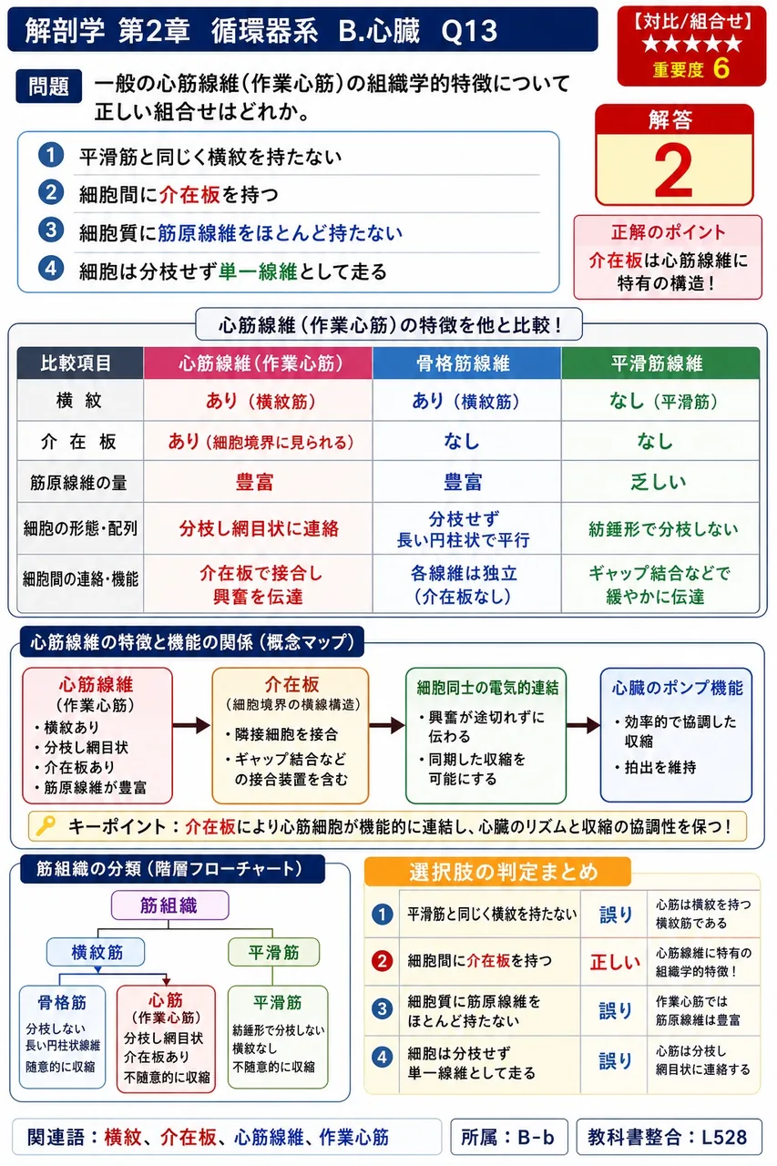 一般の心筋線維(作業心筋)の組織学的特徴について正しい組合せはどれか。 解説図