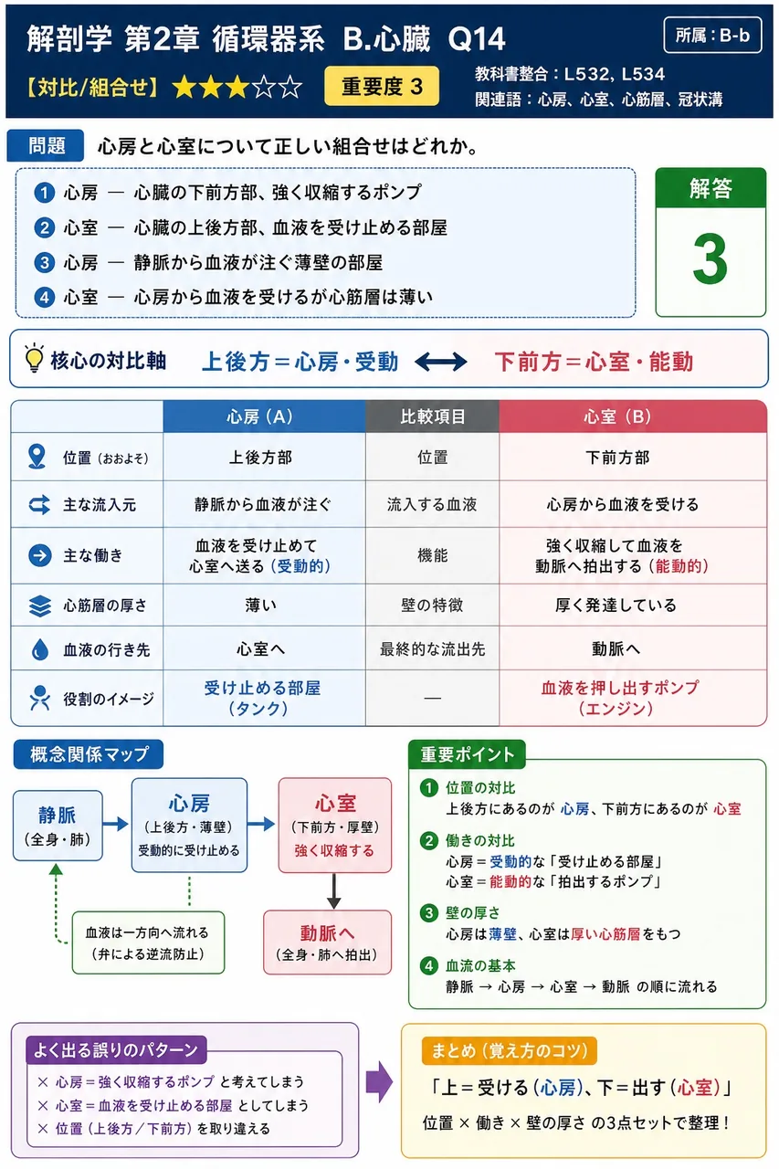 心房と心室について正しい組合せはどれか。 解説図