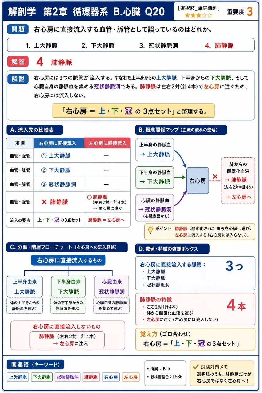 右心房に直接流入する血管・脈管として誤っているのはどれか。 解説図