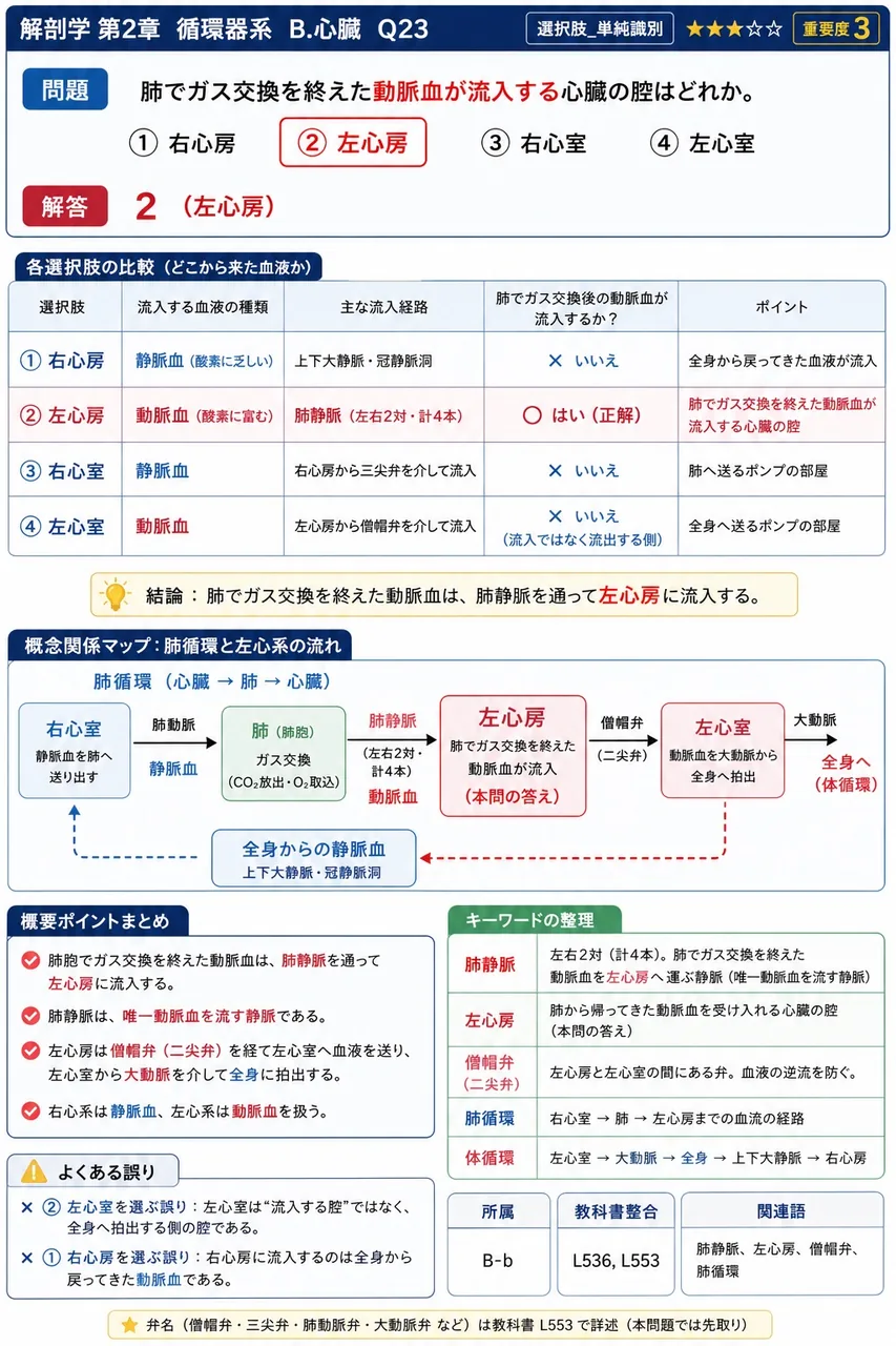 肺でガス交換を終えた動脈血が流入する心臓の腔はどれか。 解説図