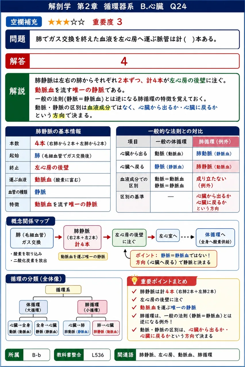 肺でガス交換を終えた血液を左心房へ運ぶ脈管は計( )本ある。 解説図