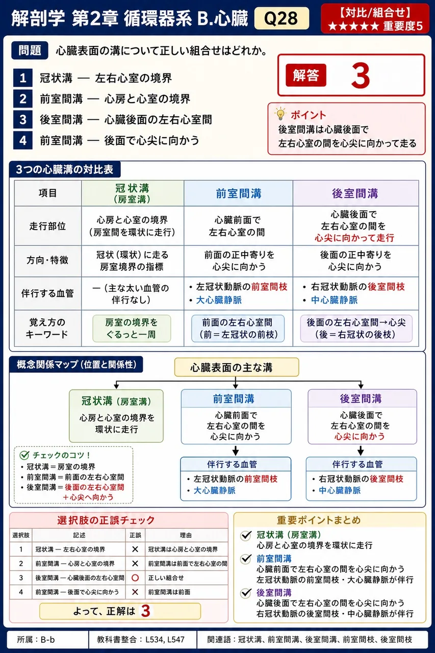 心臓表面の溝について正しい組合せはどれか。 解説図