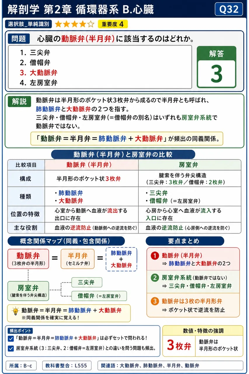 心臓の動脈弁(半月弁)に該当するのはどれか。 解説図