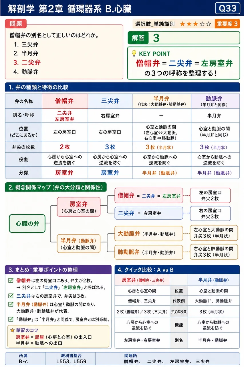僧帽弁の別名として正しいのはどれか。 解説図