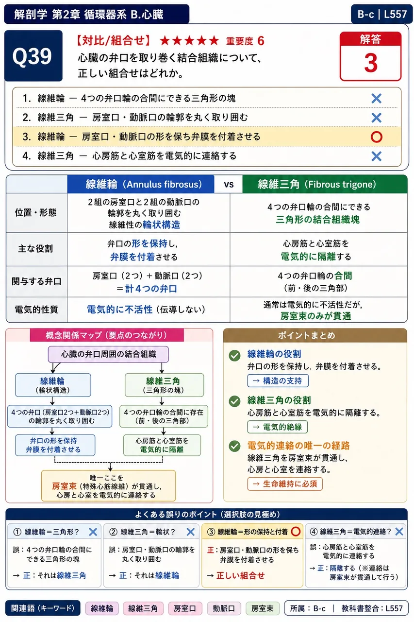 心臓の弁口を取り巻く結合組織について、正しい組合せはどれか。 解説図