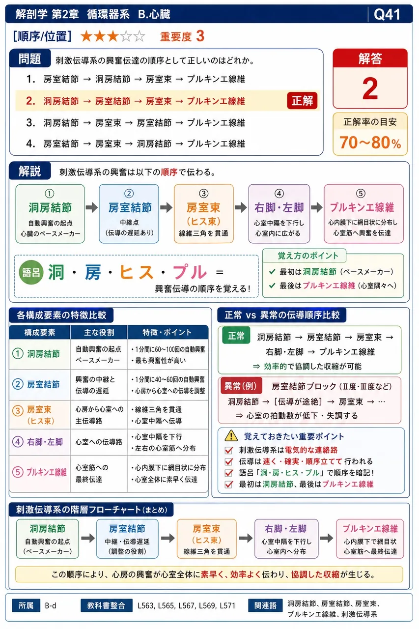 刺激伝導系の興奮伝達の順序として正しいのはどれか。 解説図