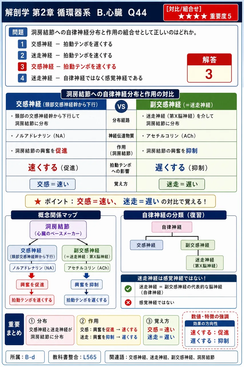 洞房結節への自律神経分布と作用の組合せとして正しいのはどれか。 解説図