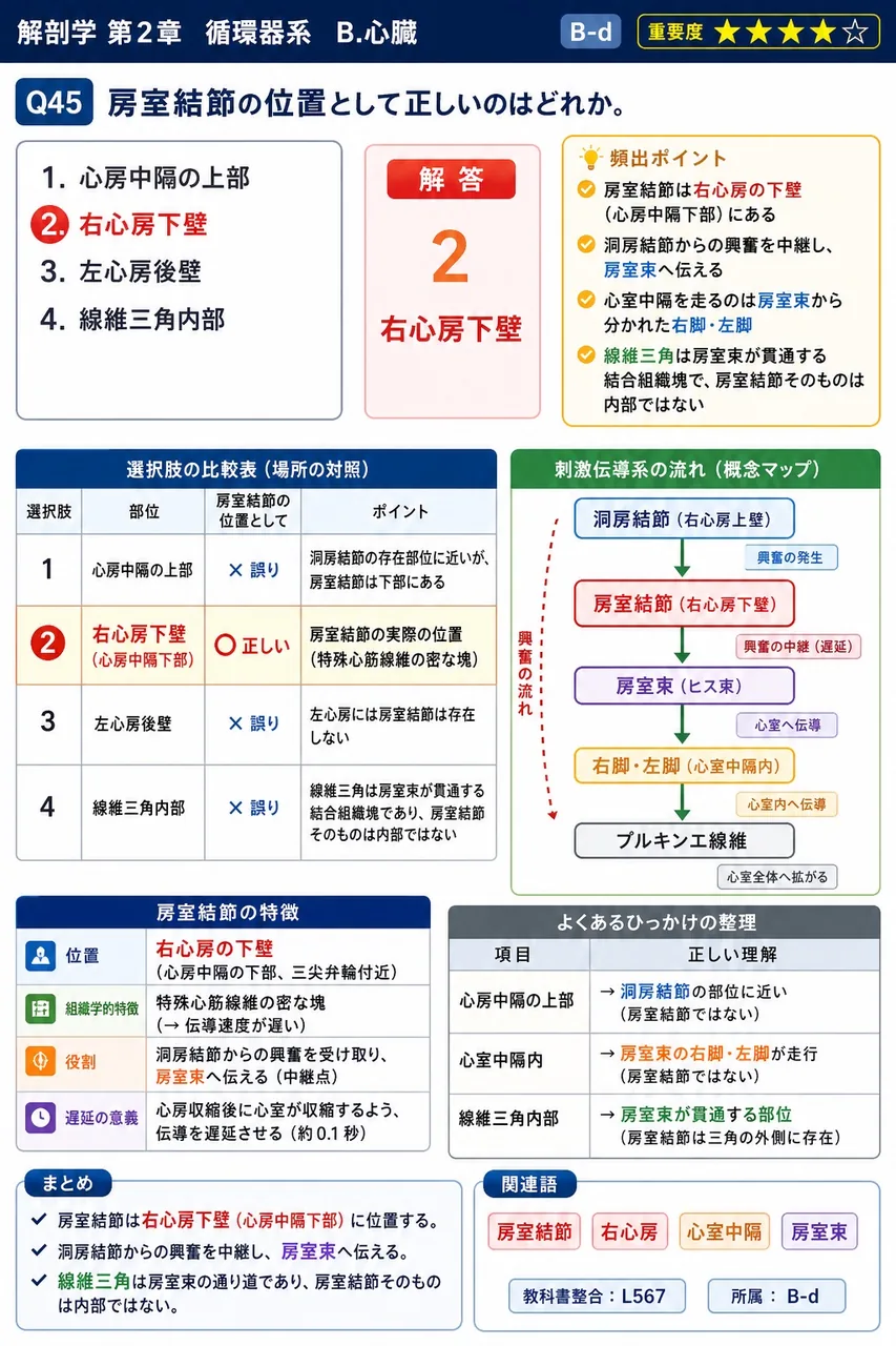 房室結節の位置として正しいのはどれか。 解説図