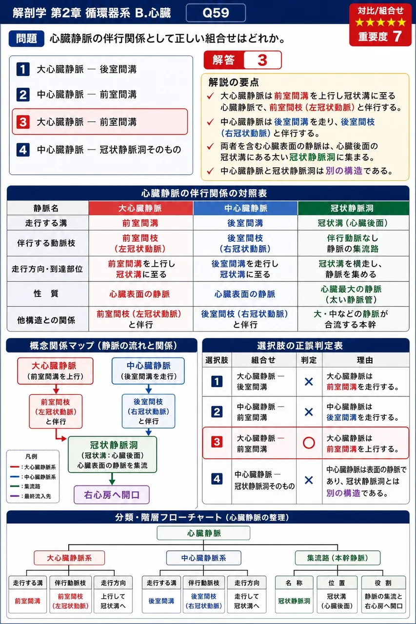 大動脈弓から起始する3本の太い枝を、起始順に並べよ。 解説図